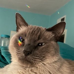 Meet your Posher, Bethany